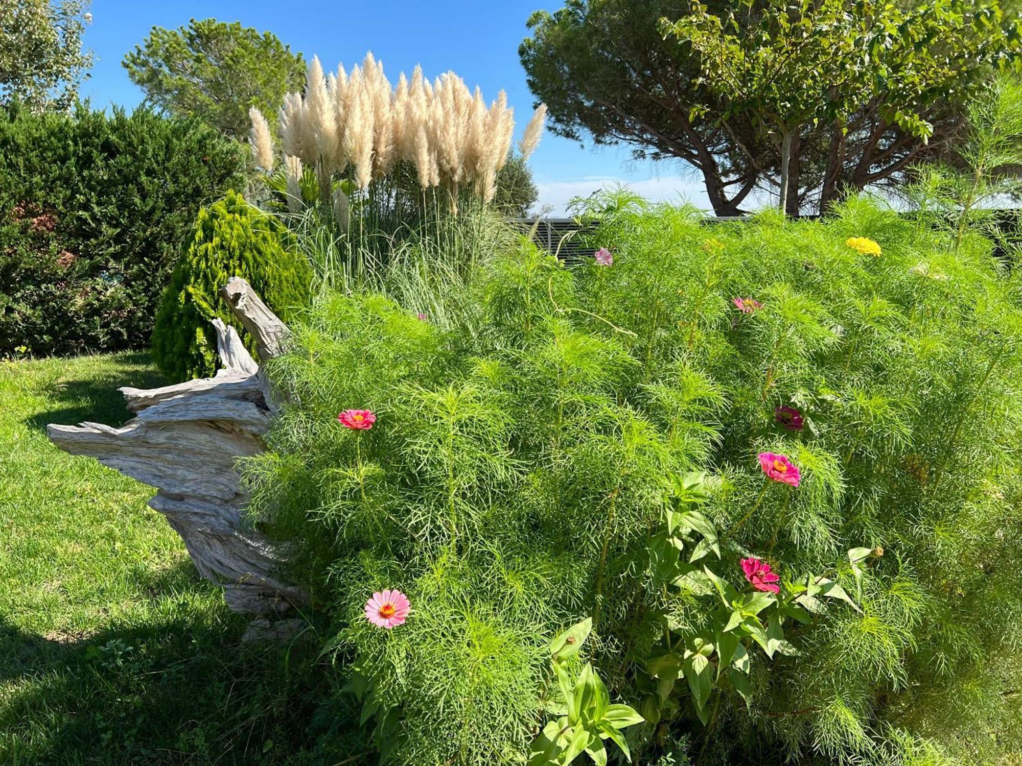 Villa Sol Peralada Golf מראה חיצוני תמונה
